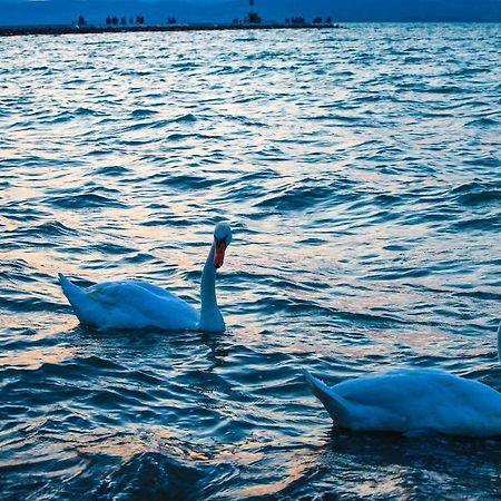 White Apartman Siófok Esterno foto