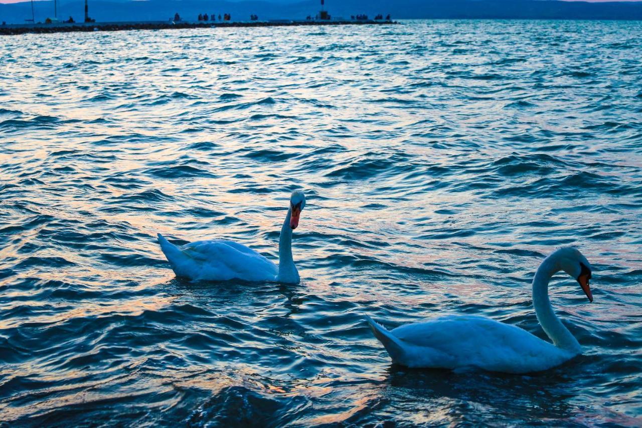 White Apartman Siófok Esterno foto
